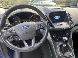 Ford Kuga 1.5 EcoBoost Trend Ultimate picture 18