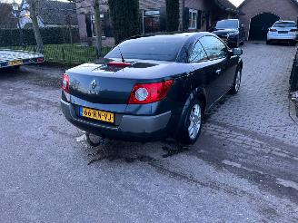 Renault Mégane Coupe Cabriolet 2.0-16V Privilège Luxe picture 8