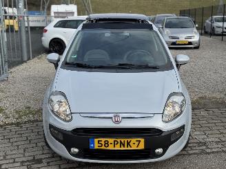 Fiat Punto Evo 1.3 M-Jet Dynamic picture 4