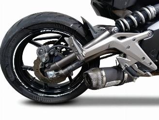 Kawasaki ER - 6 N  picture 11