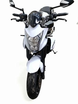 Kawasaki ER - 6 N  picture 19