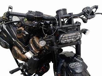 Harley-Davidson  SPORTSTER S picture 24