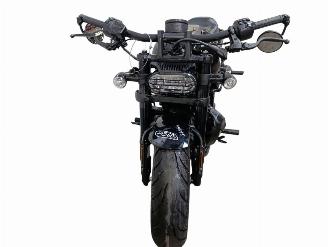 Harley-Davidson  SPORTSTER S picture 18