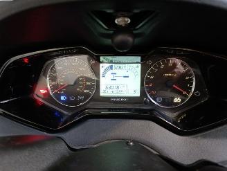 Peugeot  METROPOLIS picture 12