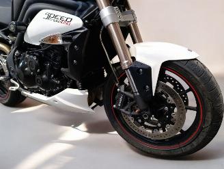 Triumph Speed Triple  picture 22