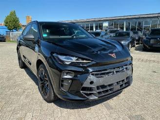 Auto incidentate Cupra   2025/3