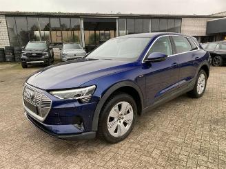 Audi E-tron 55 quattro picture 10