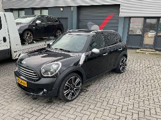 Mini Countryman 1.6 Benzine picture 2