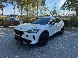 Auto incidentate Cupra Formentor Cupra Formentor VZ e-Hybrid Ambiance Camera LED VOL 2022/3