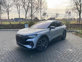 Audi Q4 Q4 e-tron Sportback 55 e-tron Quattro HUD 360view VOL picture 31