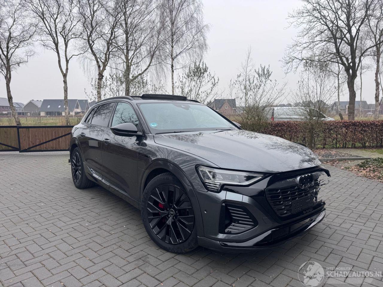 Audi Q8 Audi Q8 e-tron 55 Quattro S-line PANORAMA AHK Camera