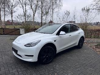 Vaurioauto  passenger cars Tesla Model Y Tesla Model Y Long Range RWD PANORAMA Autopilot VOL 2024/11