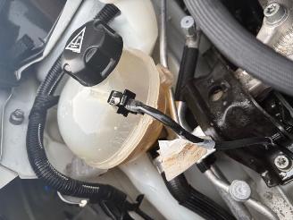 Citroën C4 cactus  picture 12