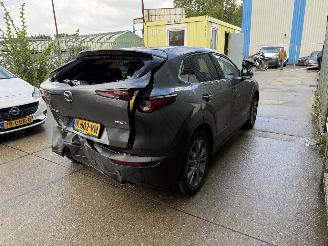 Mazda CX-30 2.0 e-SkyActiv-X M Hybrid Luxury picture 6