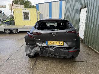 Mazda CX-30 2.0 e-SkyActiv-X M Hybrid Luxury picture 5
