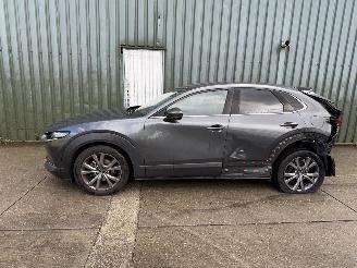 Mazda CX-30 2.0 e-SkyActiv-X M Hybrid Luxury picture 3