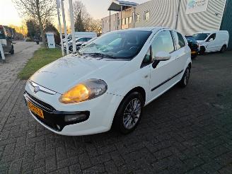 Fiat Punto Evo 1.3 m-jet dynamic picture 4