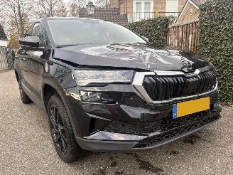 Skoda Karoq 1.0 TSI Business Edition 110PK picture 3