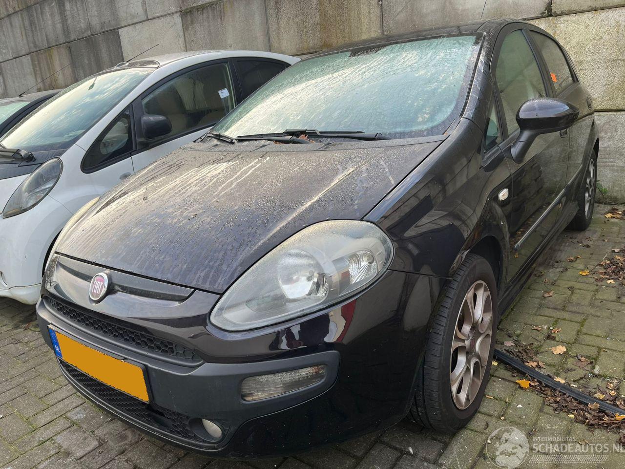 Fiat Punto Evo ZFA19900001616390