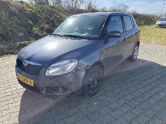 Damaged car Skoda Fabia 1.2 Classic 2008/12