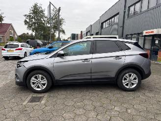 Opel Grandland X picture 2