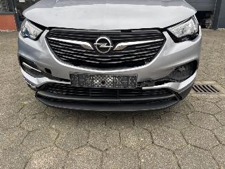 Opel Grandland X picture 10