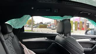 Audi Q5 55 TFSI E Quattro Competition picture 18