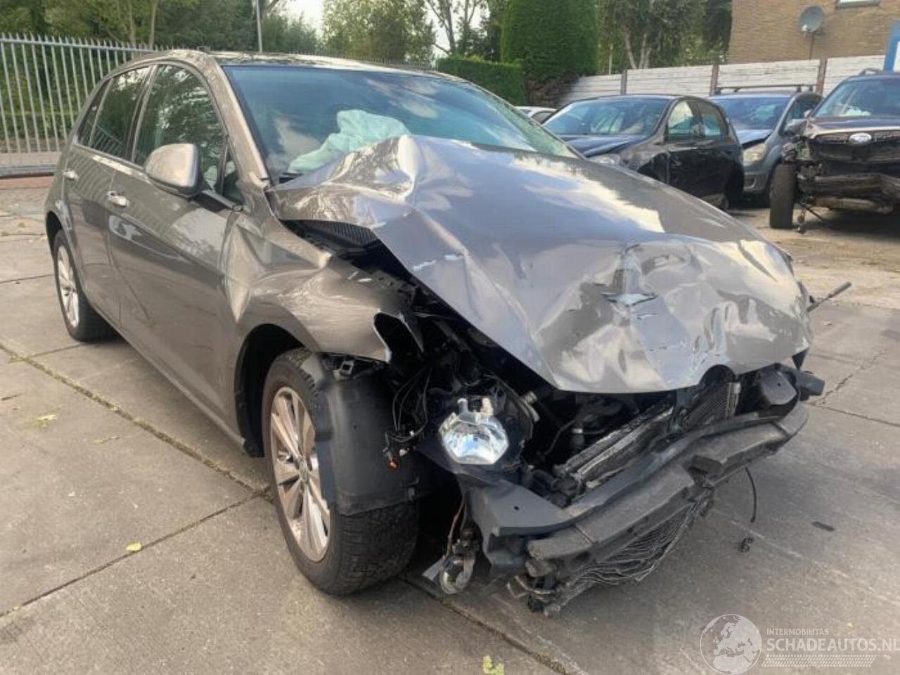 Volkswagen Golf Golf VII (AUA), Hatchback, 2012 / 2021 1.6 TDI 16V