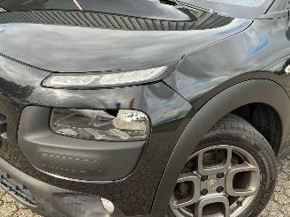 Citroën C4 cactus 1.2 PureTech Shine picture 9