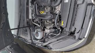 Volkswagen Golf tsi 81kw   hig line    navi picture 13