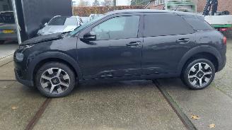 Citroën C4 cactus 1.2i  shine pano   navi picture 8