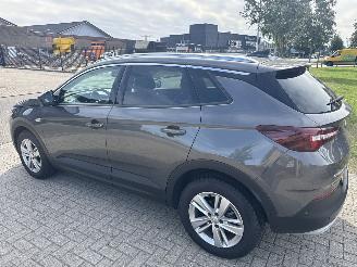 Opel Grandland GRANDLAND X 1.2 TURBO AUTOMAAT BOUWJAAR 2019 10250 EURO picture 2