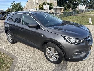 Opel Grandland GRANDLAND X 1.2 TURBO AUTOMAAT BOUWJAAR 2019 10250 EURO picture 5