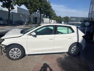 Skoda Fabia Fabia IV (PJ3), Hatchback 5-drs, 2021 1.0 TSI 12V picture 3