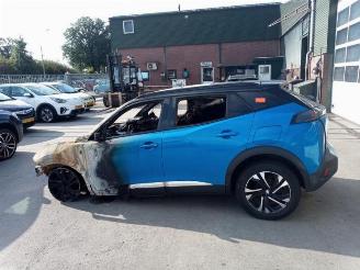 Peugeot 2008 2008 (UD/UK/UR/US/UX), MPV, 2019 e-2008 50 kWh picture 5