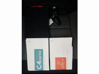 Citroën C4 cactus 1.2 PureTech Origins picture 25