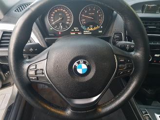 BMW 1-serie 120i High Executive picture 17