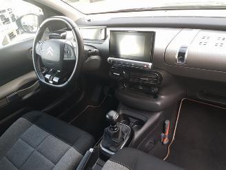 Citroën C4 cactus 1.2 PureTech Origins picture 17