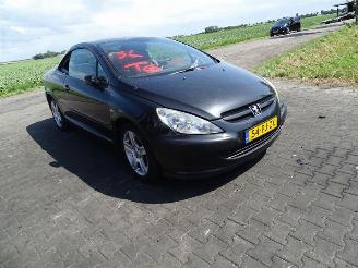 Peugeot 307 CC 2.0 16v picture 4