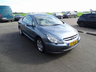 Peugeot 307 2.0 16v picture 4