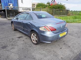 Peugeot 307 1.6 16v picture 2
