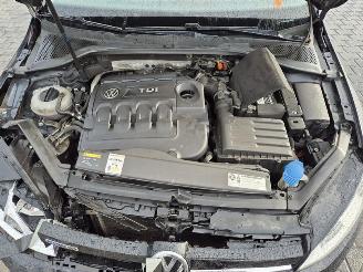 Volkswagen Golf 1.6 TDI picture 8