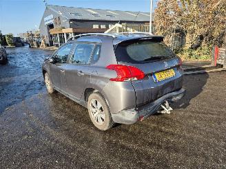 Peugeot 2008 1.2 12v Vti picture 2