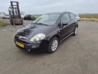 Fiat Punto Evo 1.3 JTD picture 3