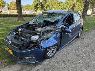  Volkswagen   2017/1