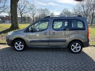 Peugeot Partner Tepee  picture 2