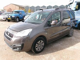 Peugeot Partner Tepee 1.6 Active picture 2