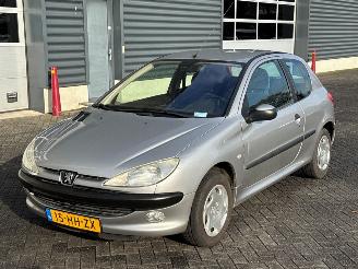  Peugeot 206 1.4 XR,XS,XT,Gentry Hatchback  Benzine 1.360cc 55kW (75pk) FWD 2001/8