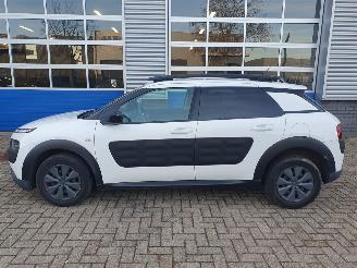 Citroën C4 cactus 1.6 BlueHDi Shine SCHADEVRIJ picture 3