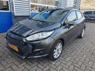 škoda osobní automobily Ford Fiesta 1.0 EcoBoost Titanium 2016/9